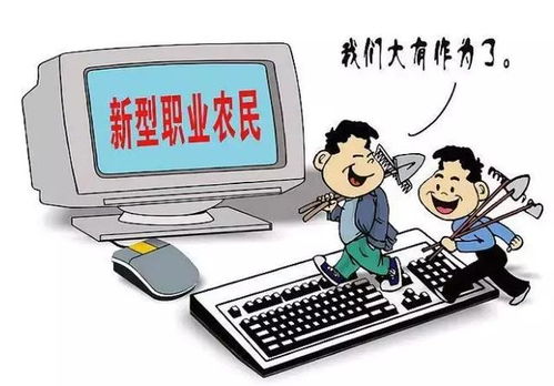 科技興農，智慧賦能 第十一屆楊凌雙交會聚焦軟件服務助推鄉村產業振興